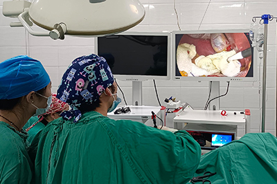 【Laparoscopy in Gallbladder Surgery】Cholecystectomy