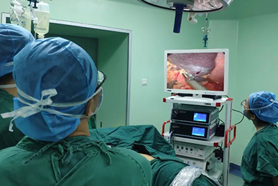 [Laparoscopic Hepatobiliary Surgery] Splenectomy