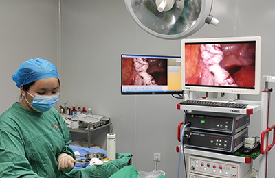 [Gynecological Laparoscopy] 4K laparoscopic pelvic and para-aortic lymph node dissection