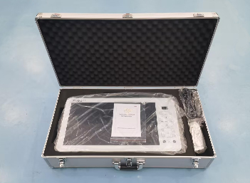 Portable FHD Endoscope Camera Unit 21” Gallery