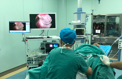 [Urology Ureteroscopy] Application techniques and summary of 