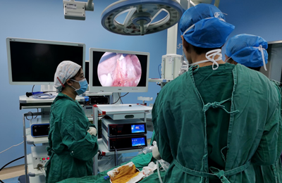 【General Surgery Laparoscopy】Vascular skeletonization under laparoscopy