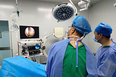 [Orthopedic Arthroscopy] Arthroscopic Autologous Osteocartilage Transplantation