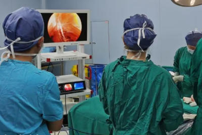 [Endoscopic Breast Augmentation in Plastic and Cosmetic Surgery]