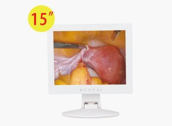 Medical Endoscope Monitor 15＂ Gallery