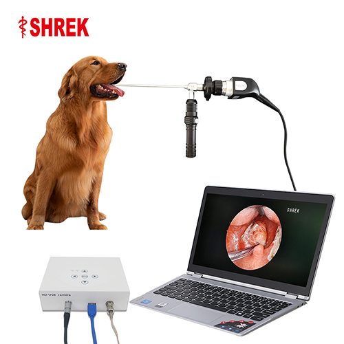 Portable HD Endoscope USB Camera